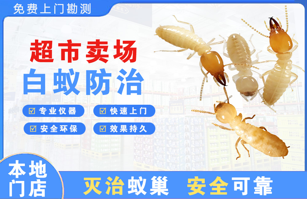 渝中超市卖场白蚁防治