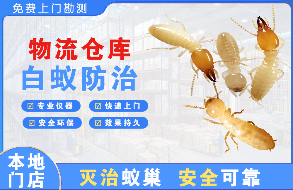 渝中物流仓库白蚁防治
