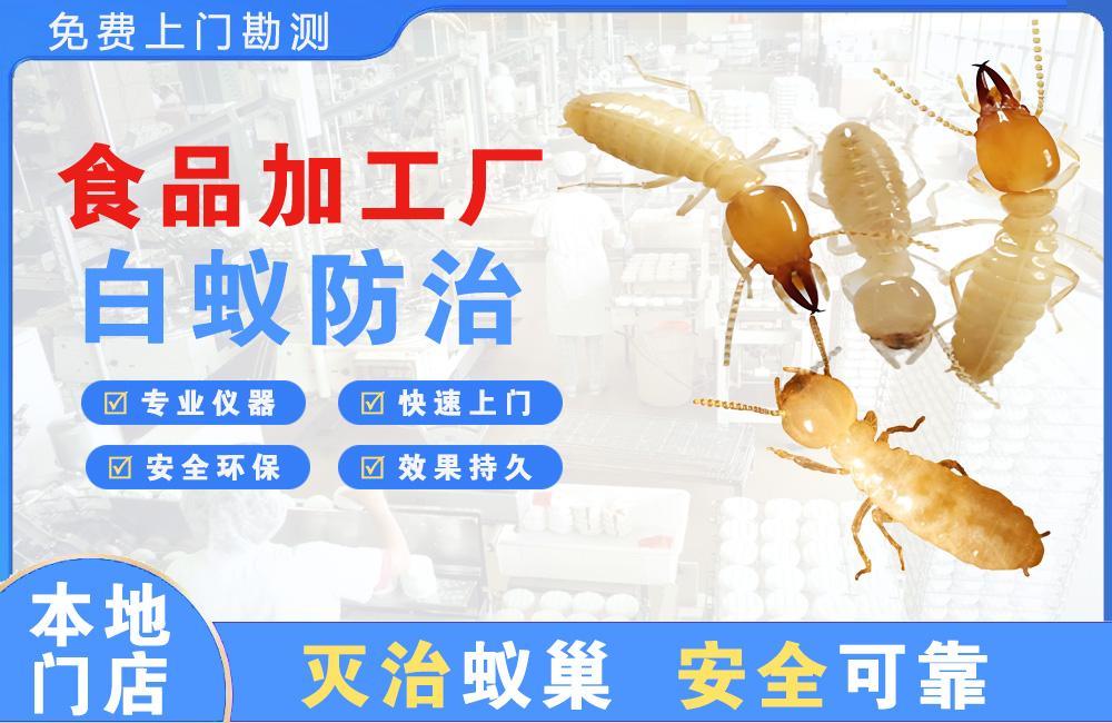 渝中食品加工厂白蚁防治