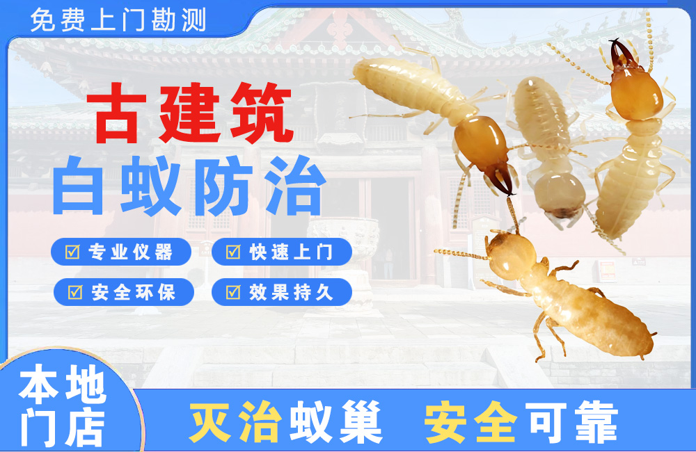 渝中古建筑白蚁防治