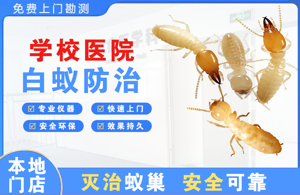 渝中学校医院白蚁防治