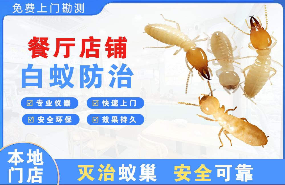 渝中餐厅店铺白蚁防治